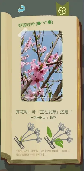 老农种树星座冬季(星空观测游戏) 老农种树星座冬季(星空观测游戏)