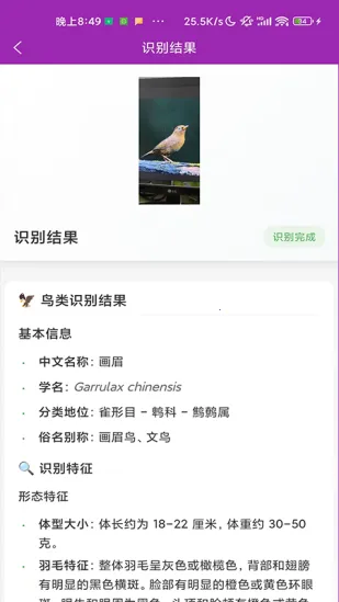 ʶ��(����ʶ�𹤾�)v1.1.0 ��Ѱ��ͼ