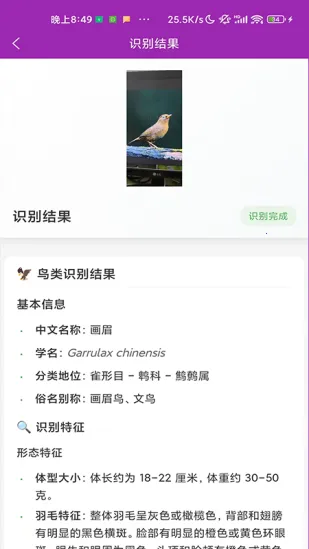 ʶ��(����ʶ�𹤾�)v1.1.0 ��Ѱ��ͼ