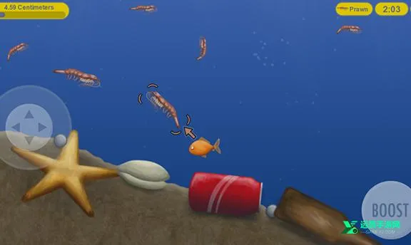 ��ζ������������