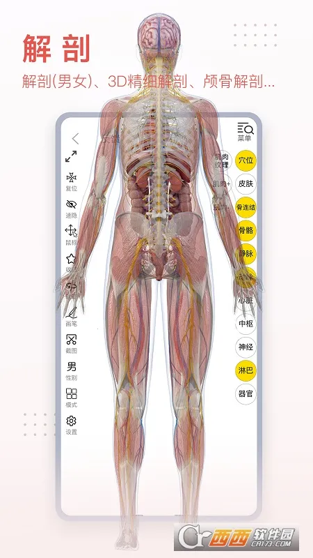 3dbody��������v8.8.72 �ֻ����ͼ
