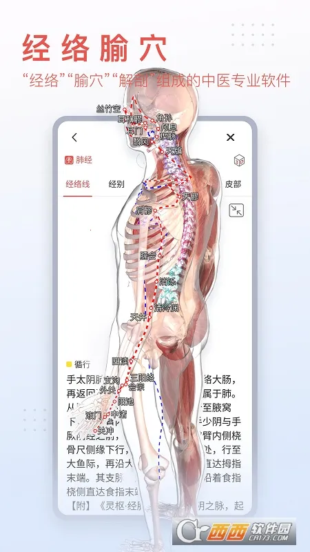 3dbody�������İ�v8.8.91 �ֻ����ͼ