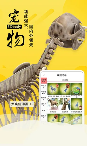 3dbody�������İ�