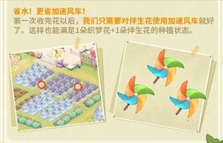 ֯��ɭ��2026�ٷ����°汾