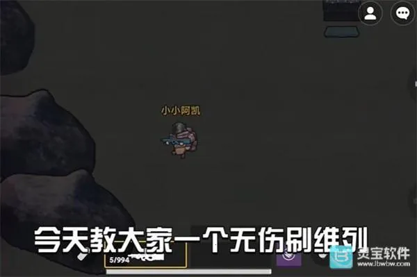 �޹����������޹���