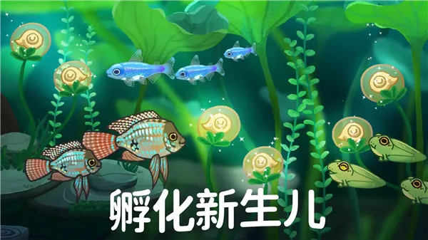 Pondlife2026���ذ�װv1.21.14 �ٷ������ͼ