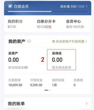 ����������(���ڴ���App)