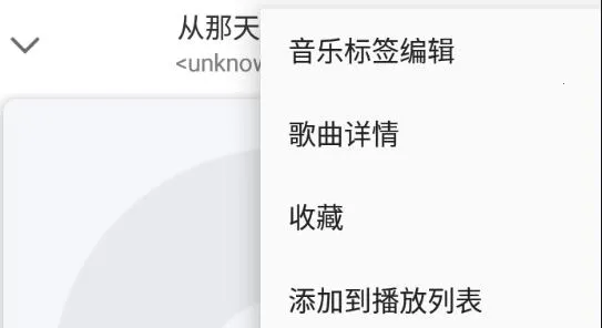 APlayer(本地音乐播放器) APlayer(本地音乐播放器)