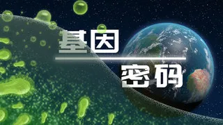 ��������2026�ٷ����°汾