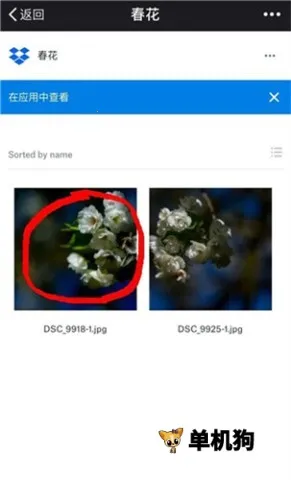 dropbox(�ƴ洢����)