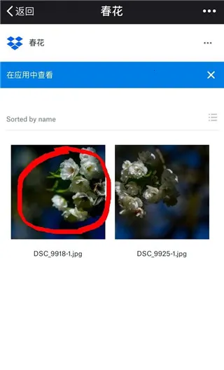 dropbox(�ƴ洢����)