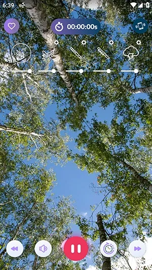风的声音2026官方最新版本 风的声音2026官方最新版本