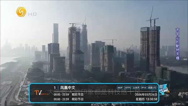 低调TV电视(电视直播软件) 低调TV电视(电视直播软件)