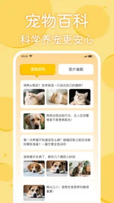 è�������﷭����(����Ȥζ��ͨӦ��)v1.0.2 �ٷ������ͼ