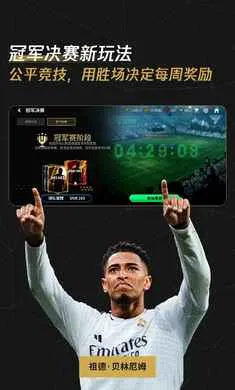 FC��������������ع��2026���°汾v31.0.04 �ٷ������ͼ