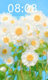 ��ֽ����2026�ٷ����°汾