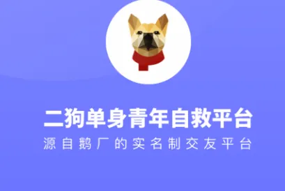 �������������Ծ�ƽ̨2026���°汾