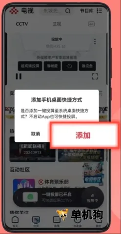 ����Ƶ2026���°汾