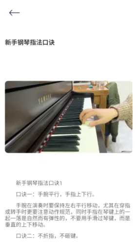 bongocat��Ϸ2026���°汾