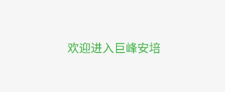 巨峰安培2026官方最新版本 巨峰安培2026官方最新版本