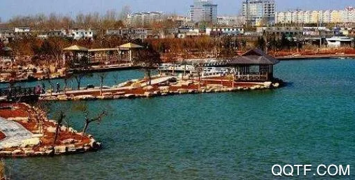市中云报 市中云报