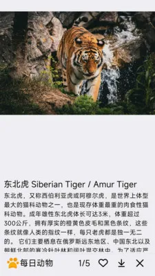 ÿ�ն���v1.0.0 �ٷ������ͼ