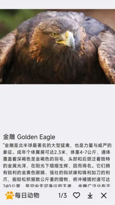 ÿ�ն���v1.0.0 �ٷ������ͼ