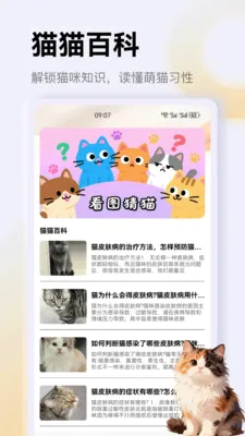 ����è��app2026���°汾v1.4 �ֻ����ͼ