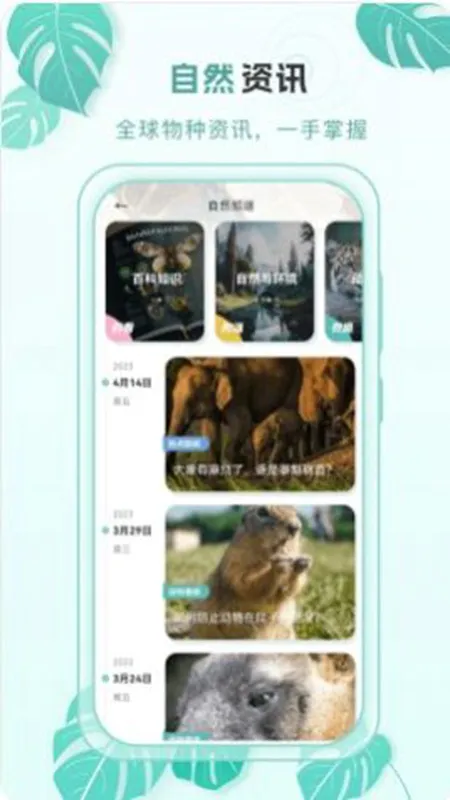�ٿ�����v2.0.4 �ٷ������ͼ