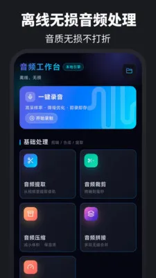 ������ȡAudio��������2026���°汾