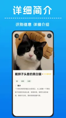 AI����ʶ��v1.0.4 �ֻ����ͼ