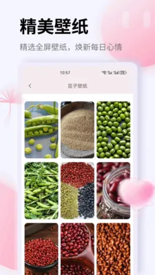 K�������ֻ���v1.0.0 ��׿���ͼ