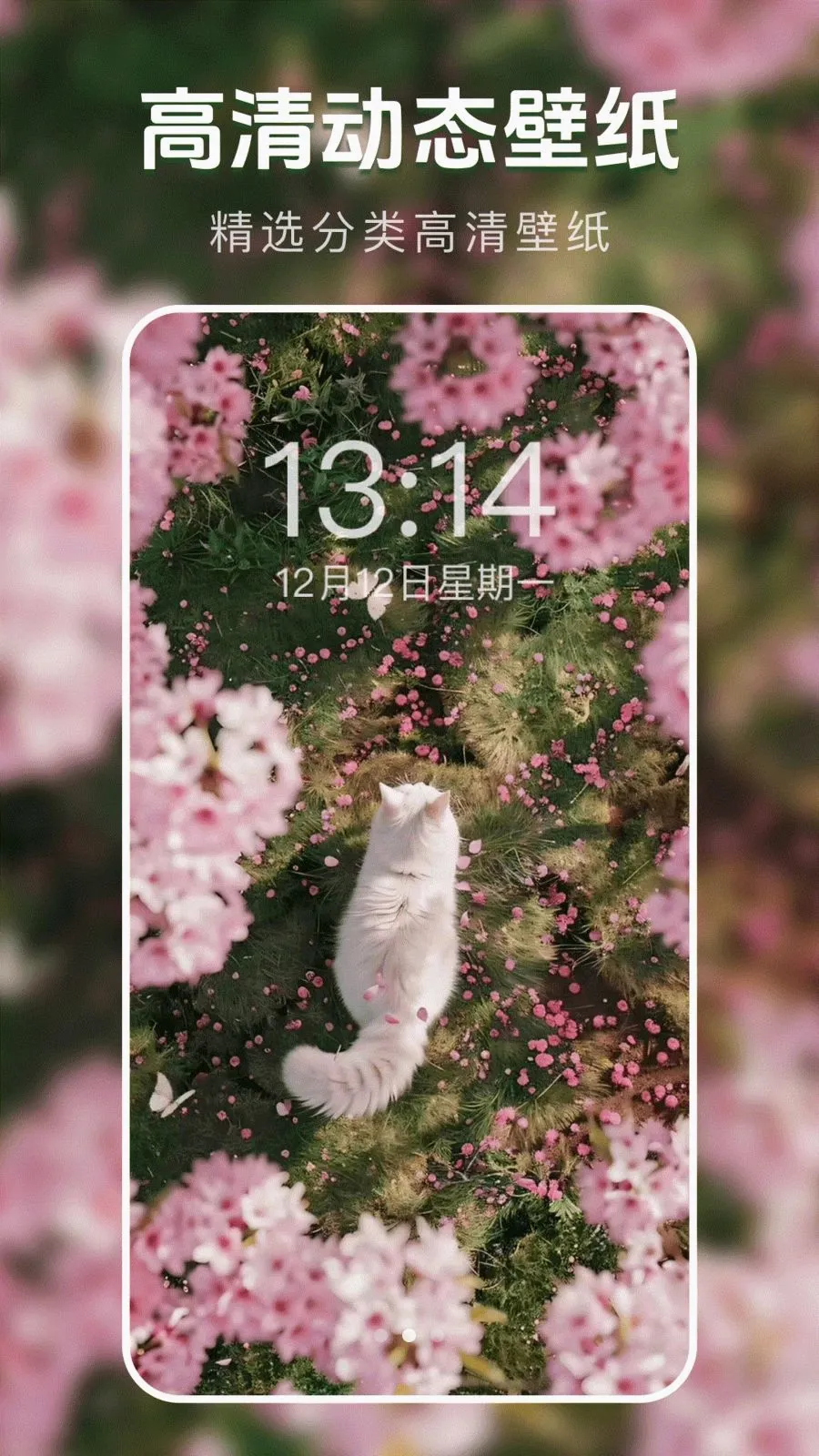 ��̬�����ֽ��v1.0.0 ��Ѱ��ͼ