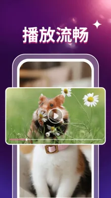 ˽��ӰƬ������v1.0.3 ��׿���ͼ
