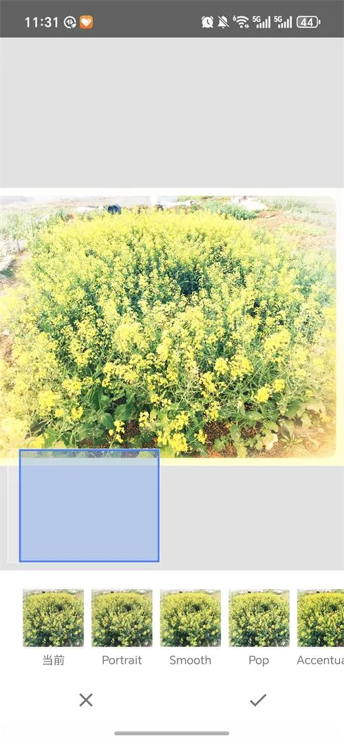 BetterSeed2026���°汾v2.22.0.633363672 �ֻ����ͼ