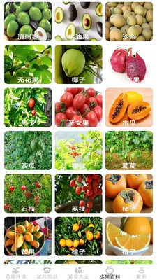 �ͷ׻���v2.7.2.3 �ٷ������ͼ