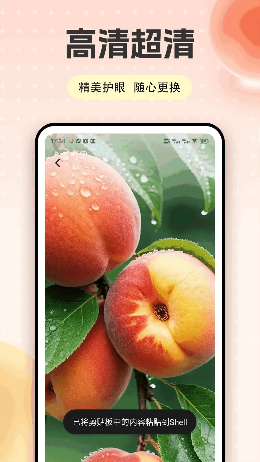 �Ҷ��ƽ̨2026�ٷ����°汾v1.0.5 ��Ѱ��ͼ