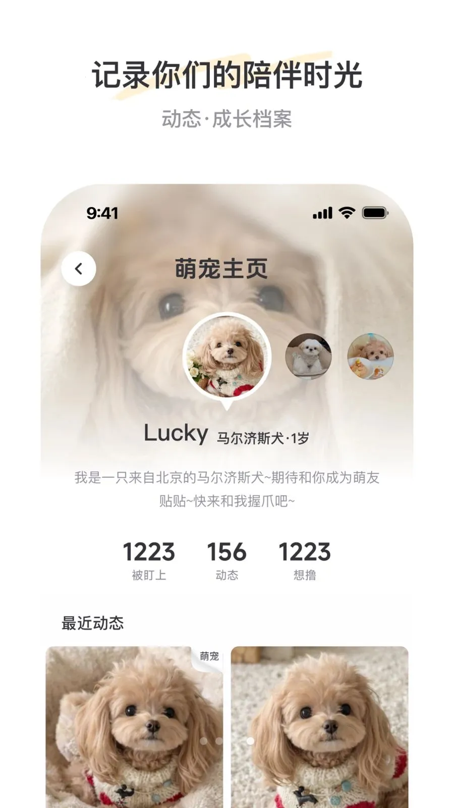 PetSpacev2.3.1 �ٷ������ͼ