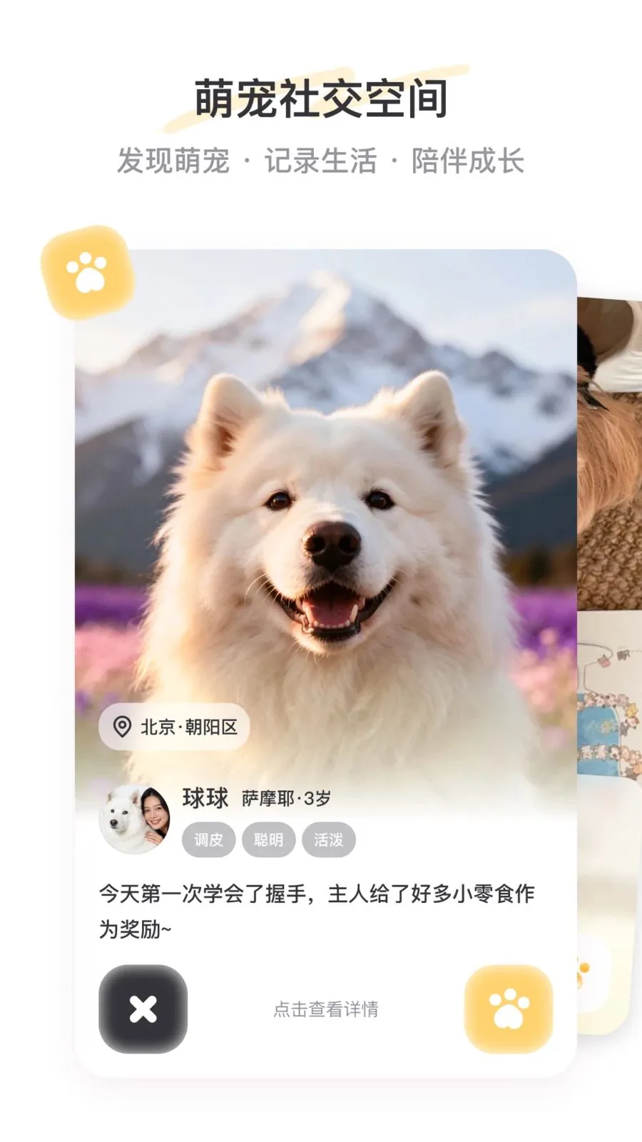 PetSpacev2.3.1 �ٷ������ͼ