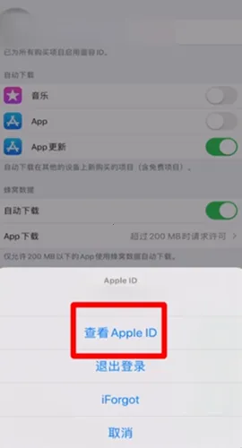 ƻ��Ӧ���̵�AppStore