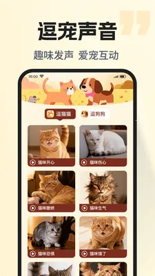 �ȳ�è����ѷ���v1.0.2 ��׿���ͼ