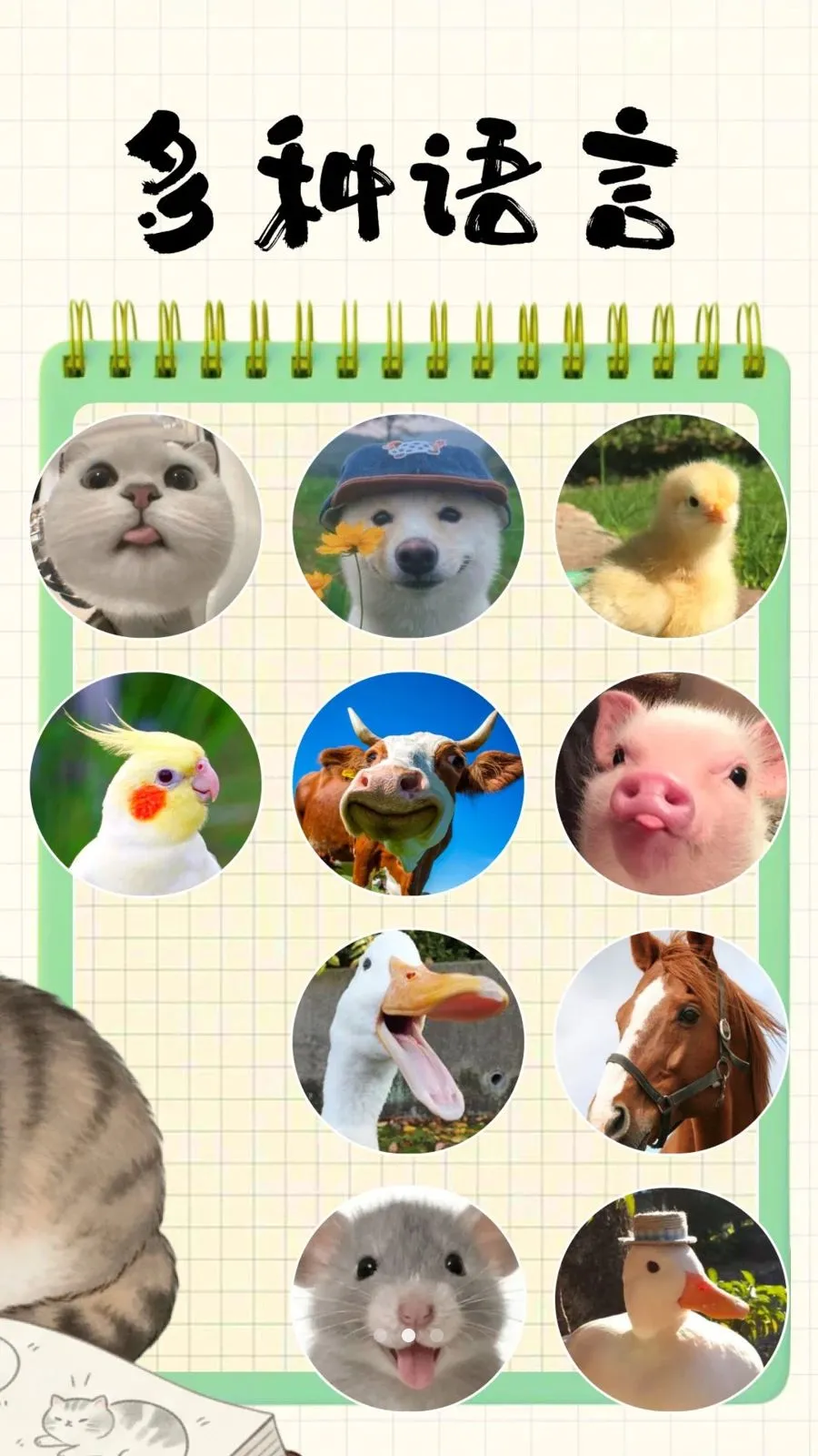 ���÷�����v3.9.5 ��׿���ͼ