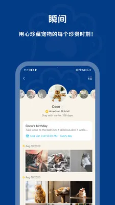 PawView2026���°汾v1.2.0 ��Ѱ��ͼ
