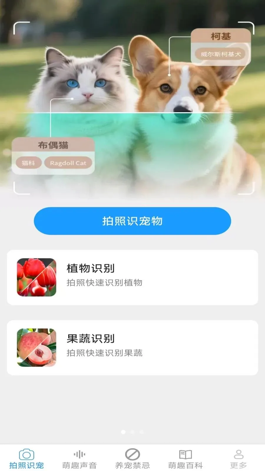 Ԫ������v2.7.2.2 ��׿���ͼ