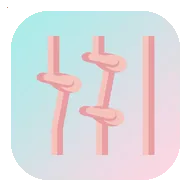 ������2026�ٷ����°汾