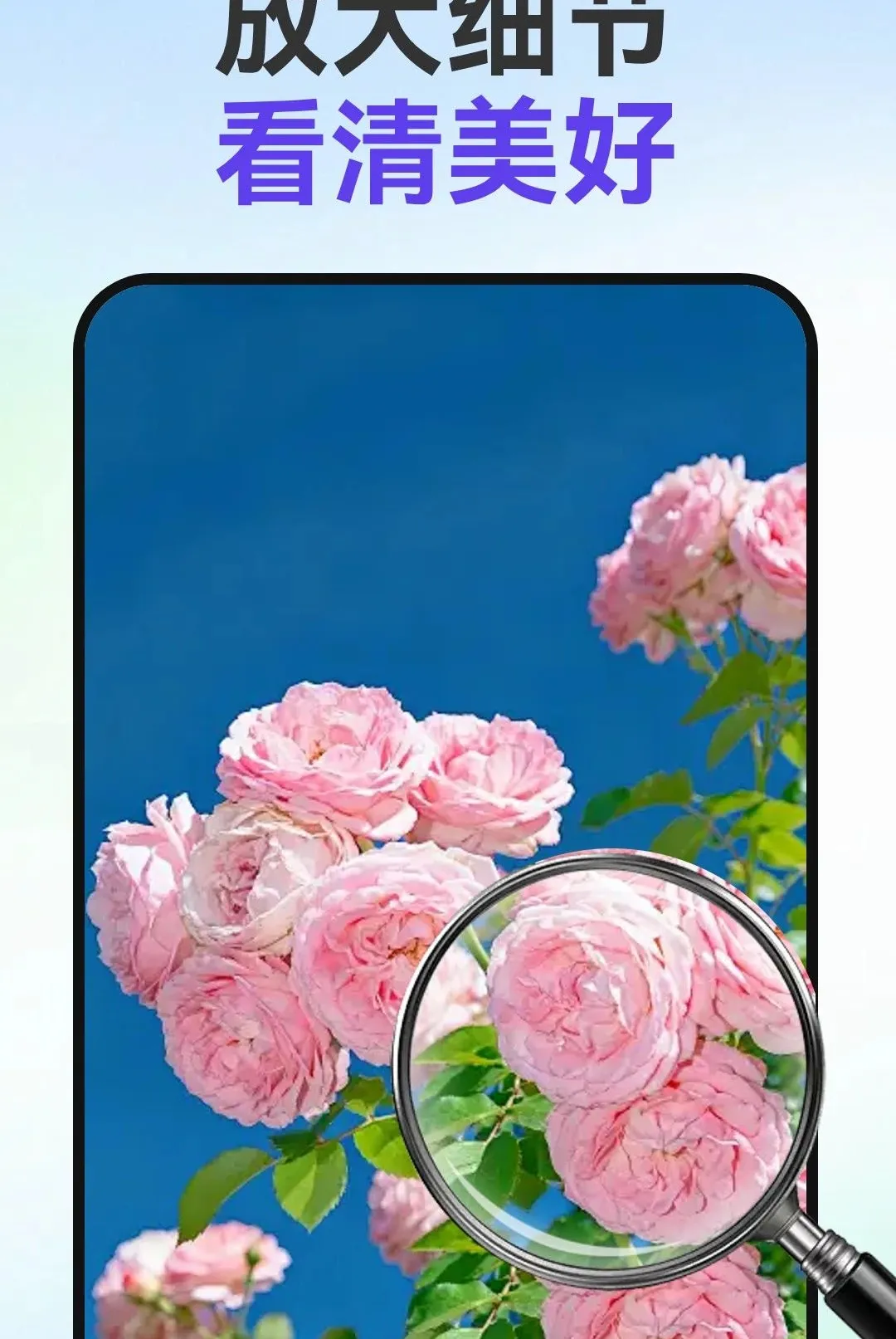 С�ַŴ�2026�ٷ����°汾v1.0.1 �ٷ������ͼ