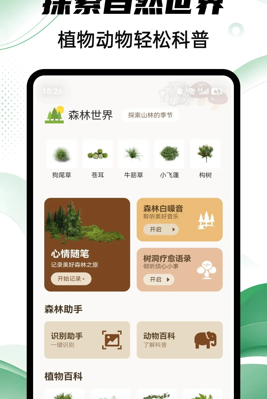 Aeluɭ��2026���°汾v1.0.4 �ٷ������ͼ