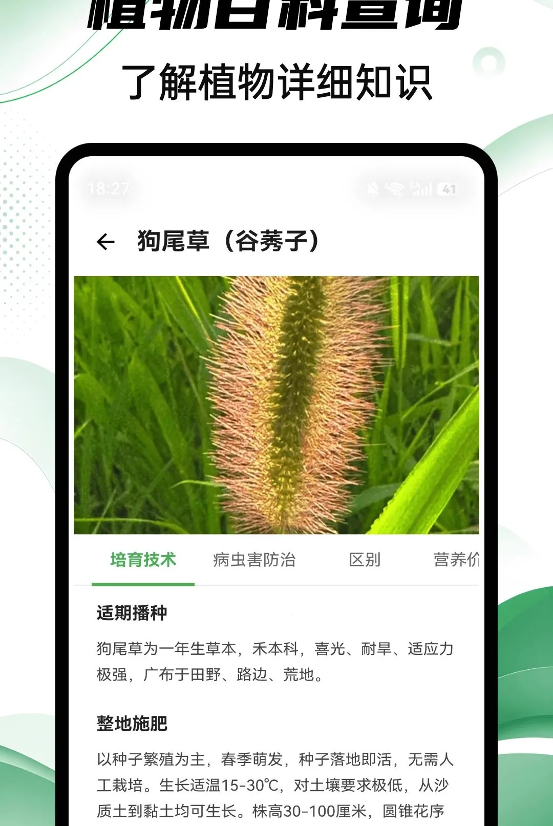 Aeluɭ��2026���°汾v1.0.4 �ٷ������ͼ
