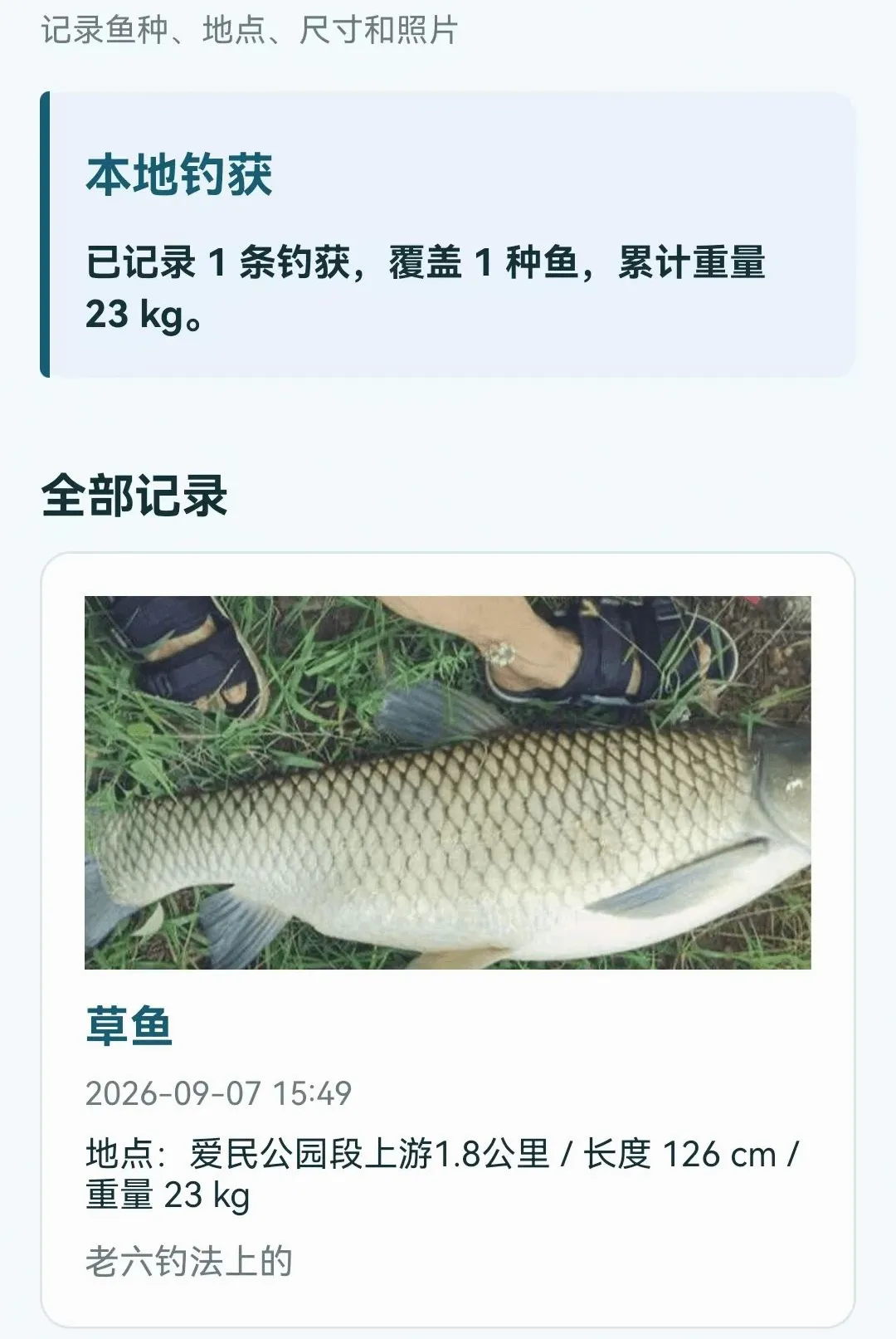 ���������鱨ָ��2026���°汾v1.0.0.4 �ٷ������ͼ