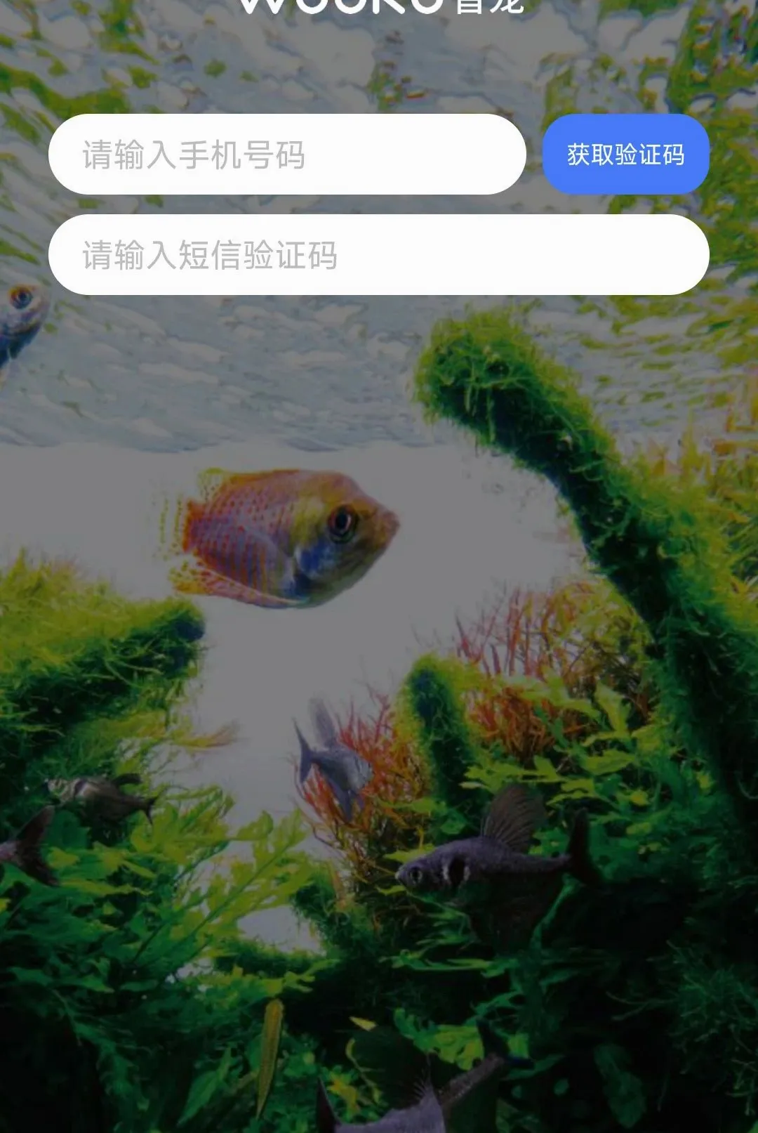 WOOKU�ǳ������ֻ���v1.0.29 �ٷ������ͼ